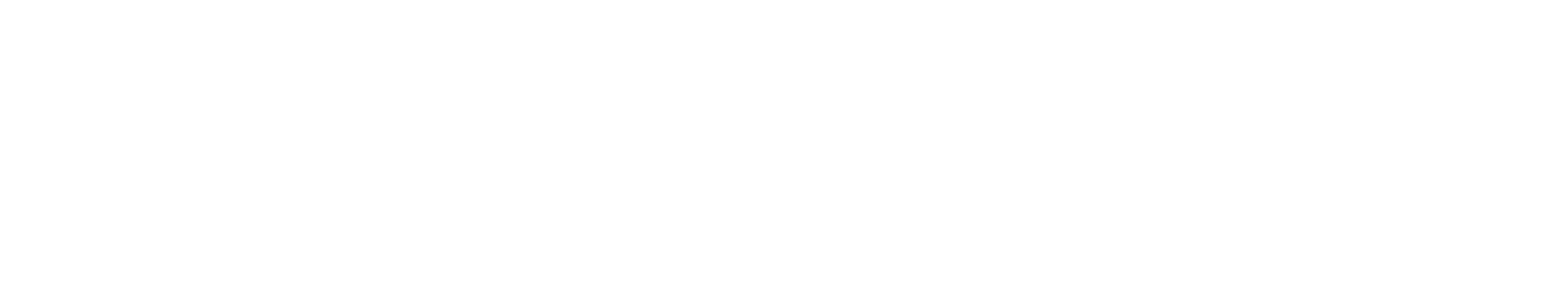 ODIN 配送計画